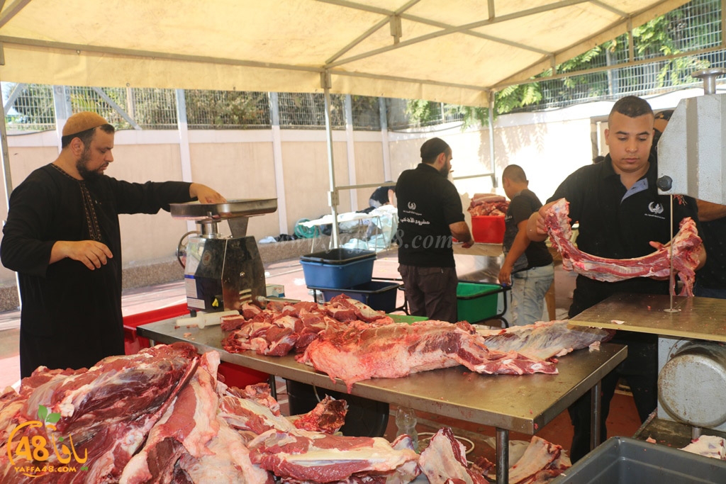 ada7y forthei (122).JPG